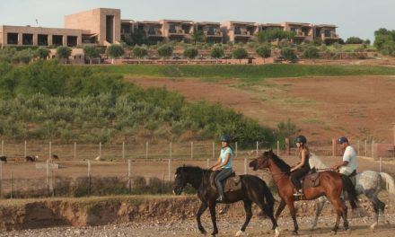 Offrez-vous un séjour équestre dans la région de Marrakech