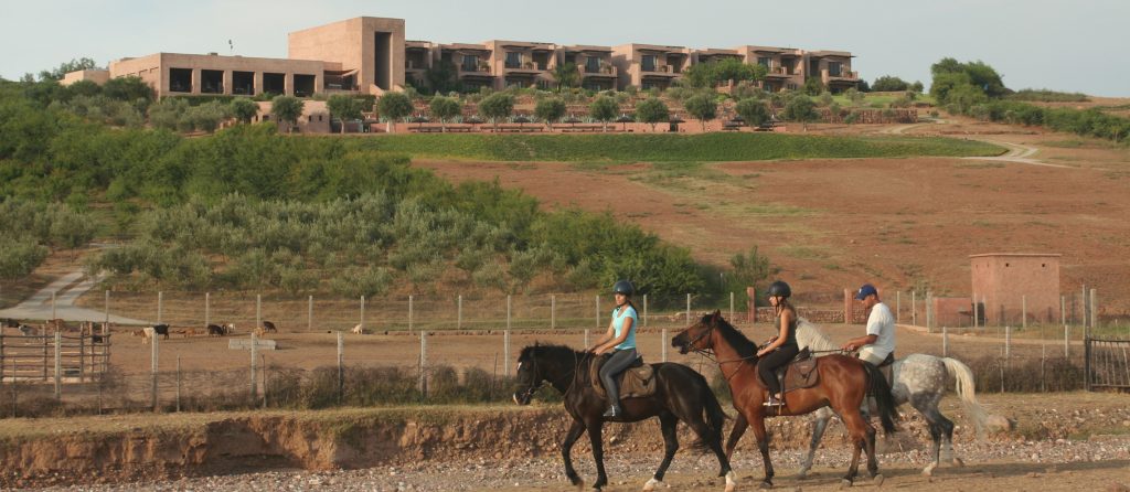 Offrez-vous un séjour équestre dans la région de Marrakech