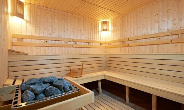 Les meilleures expériences de sauna