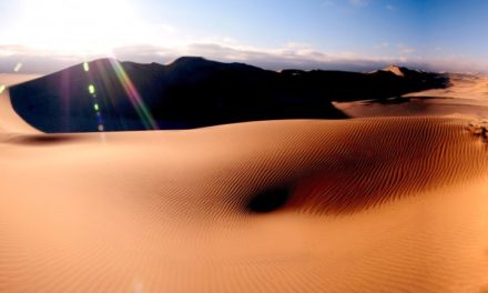 La Namibie : la nature sauvage dans son état brut