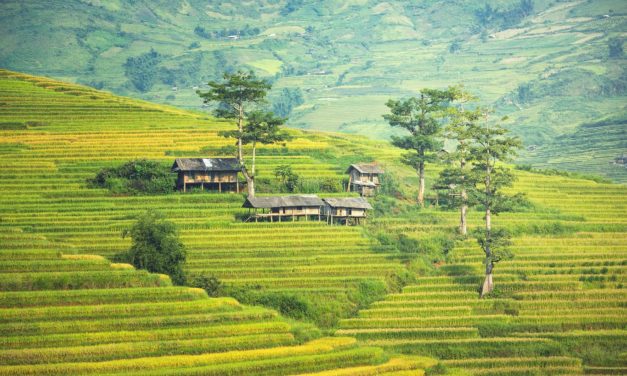 Quelques raisons pour venir faire du tourisme écologique en Malaisie