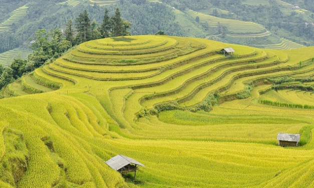 Circuit Vietnam 10 à 12 jours : guide pratique pour un séjour réussi